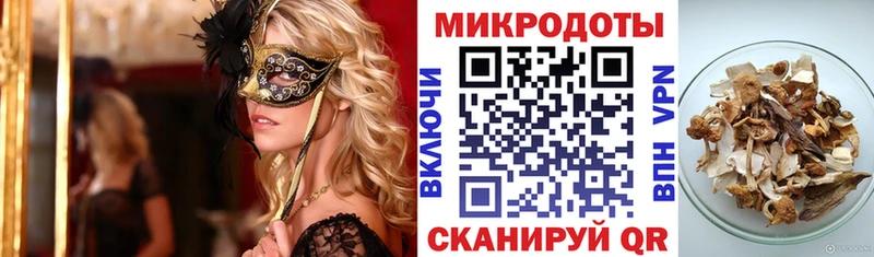 Галлюциногенные грибы Psilocybine cubensis Жиздра